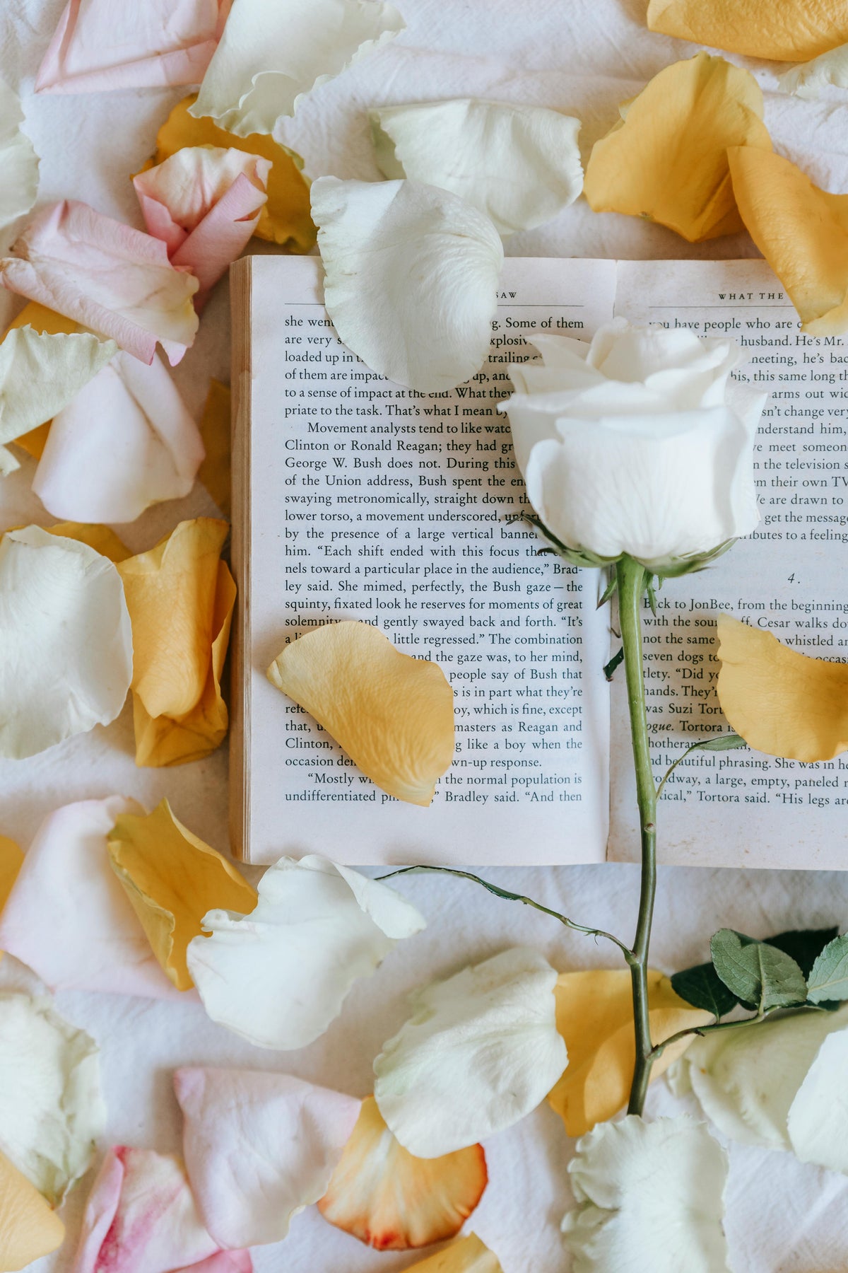 Fantasy & Romance