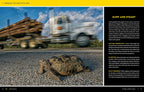 National Geographic Photo Basics: The Ultimate Beginner's Guide to Great Photography
