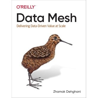 Data Mesh: Delivering Data-Driven Value at Scale 1st Edition